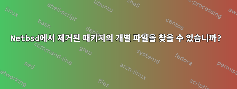 Netbsd에서 제거된 패키지의 개별 파일을 찾을 수 있습니까?