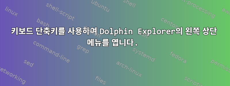 키보드 단축키를 사용하여 Dolphin Explorer의 왼쪽 상단 메뉴를 엽니다.