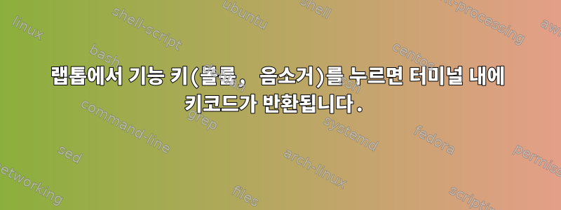 랩톱에서 기능 키(볼륨, 음소거)를 누르면 터미널 내에 키코드가 반환됩니다.