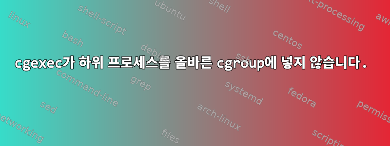 cgexec가 하위 프로세스를 올바른 cgroup에 넣지 않습니다.