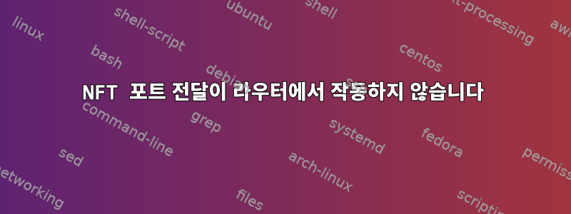 NFT 포트 전달이 라우터에서 작동하지 않습니다