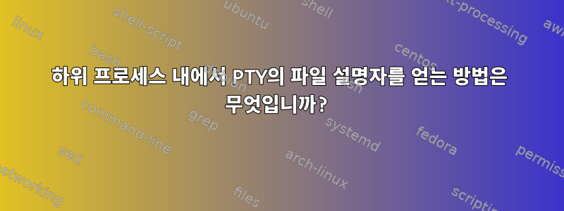 하위 프로세스 내에서 PTY의 파일 설명자를 얻는 방법은 무엇입니까?