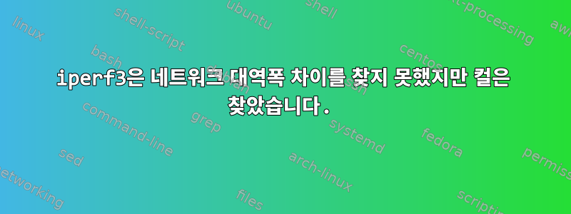 iperf3은 네트워크 대역폭 차이를 찾지 못했지만 컬은 찾았습니다.