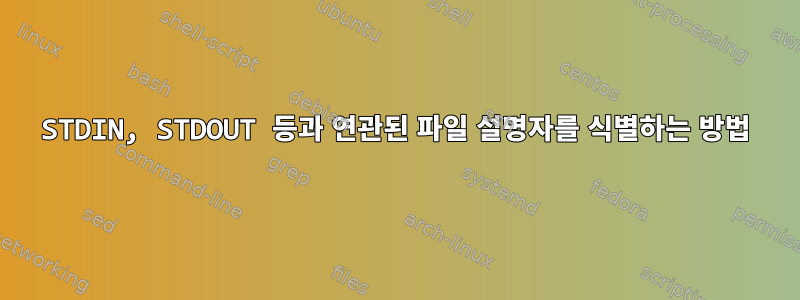 STDIN, STDOUT 등과 연관된 파일 설명자를 식별하는 방법