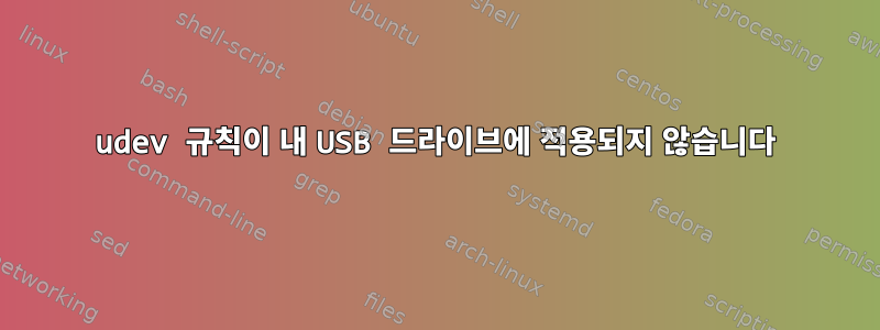 udev 규칙이 내 USB 드라이브에 적용되지 않습니다