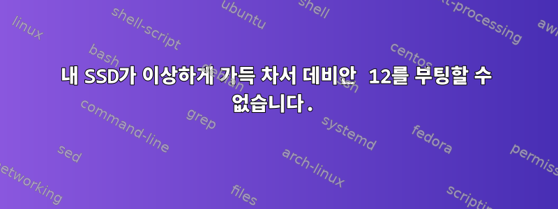 내 SSD가 이상하게 가득 차서 데비안 12를 부팅할 수 없습니다.