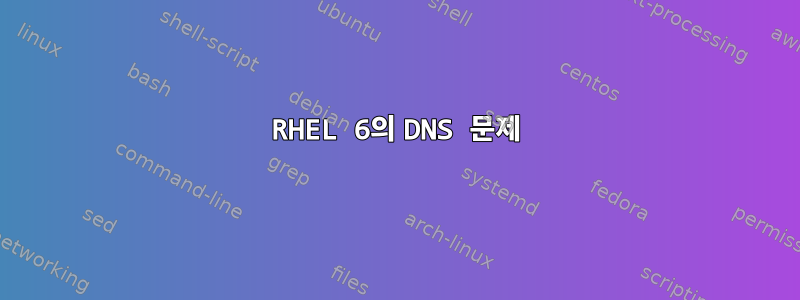 RHEL 6의 DNS 문제