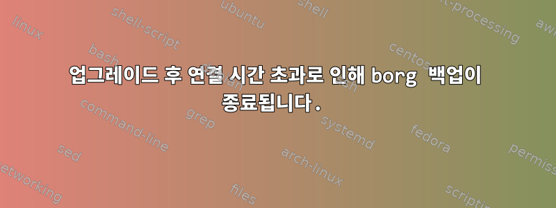 업그레이드 후 연결 시간 초과로 인해 borg 백업이 종료됩니다.