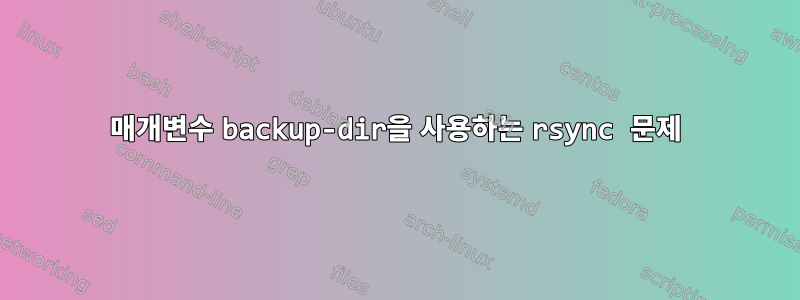 매개변수 backup-dir을 사용하는 rsync 문제