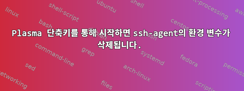 Plasma 단축키를 통해 시작하면 ssh-agent의 환경 변수가 삭제됩니다.