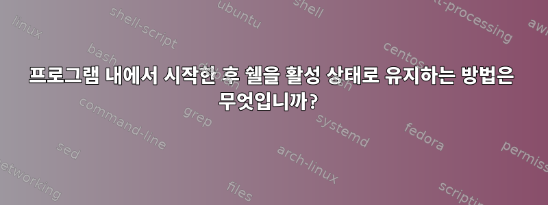 프로그램 내에서 시작한 후 쉘을 활성 상태로 유지하는 방법은 무엇입니까?