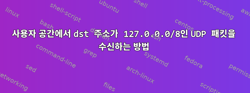 사용자 공간에서 dst 주소가 127.0.0.0/8인 UDP 패킷을 수신하는 방법