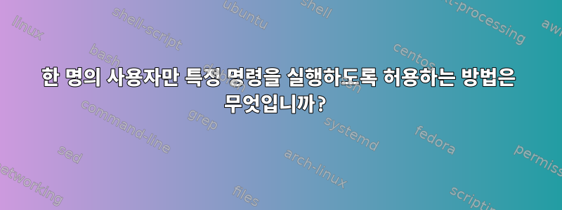 한 명의 사용자만 특정 명령을 실행하도록 허용하는 방법은 무엇입니까?