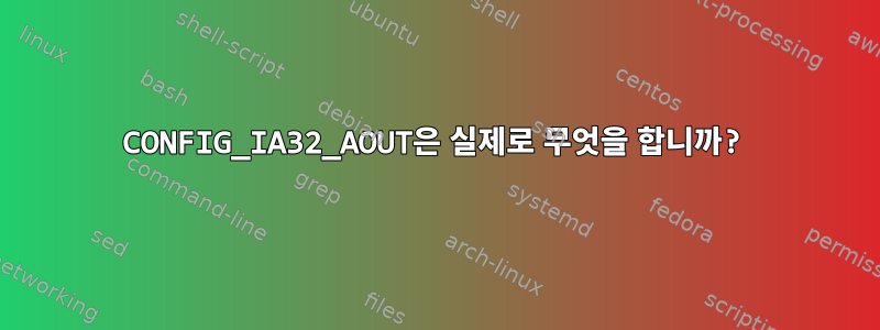 CONFIG_IA32_AOUT은 실제로 무엇을 합니까?