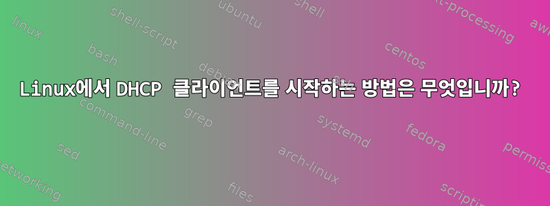 Linux에서 DHCP 클라이언트를 시작하는 방법은 무엇입니까?