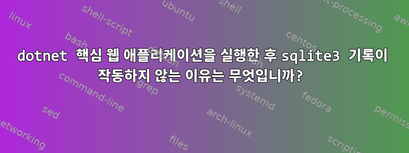 dotnet 핵심 웹 애플리케이션을 실행한 후 sqlite3 기록이 작동하지 않는 이유는 무엇입니까?