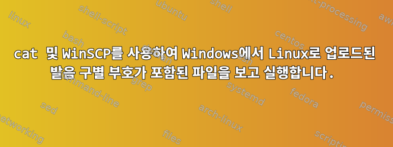 cat 및 WinSCP를 사용하여 Windows에서 Linux로 업로드된 발음 구별 부호가 포함된 파일을 보고 실행합니다.