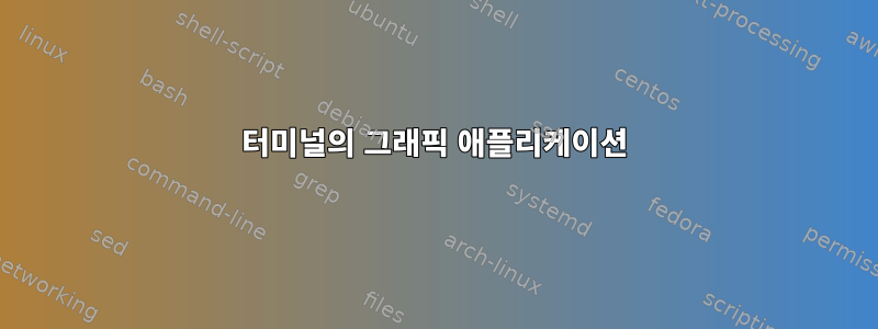 터미널의 그래픽 애플리케이션