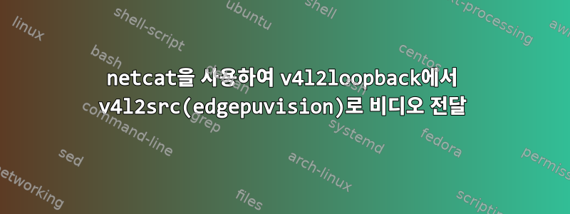 netcat을 사용하여 v4l2loopback에서 v4l2src(edgepuvision)로 비디오 전달