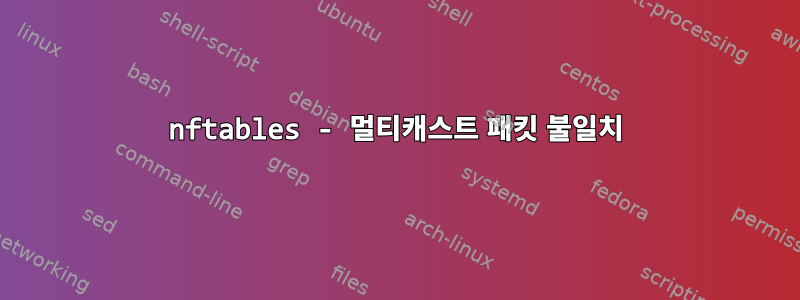 nftables - 멀티캐스트 패킷 불일치