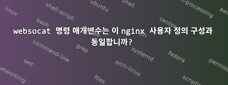 websocat 명령 매개변수는 이 nginx 사용자 정의 구성과 동일합니까?