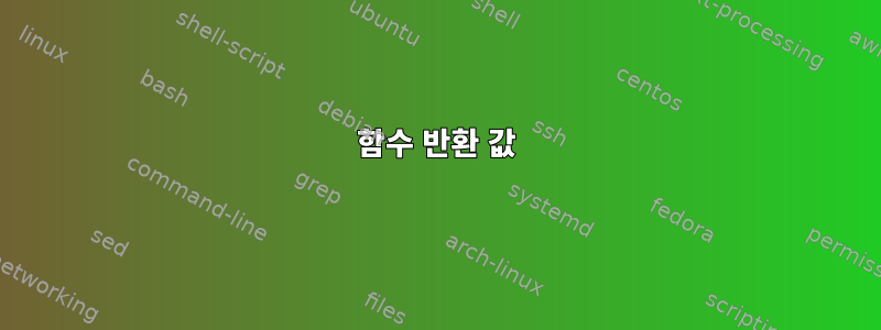 함수 반환 값