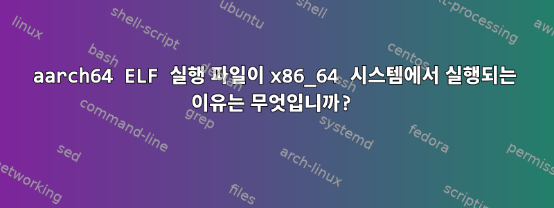 aarch64 ELF 실행 파일이 x86_64 시스템에서 실행되는 이유는 무엇입니까?