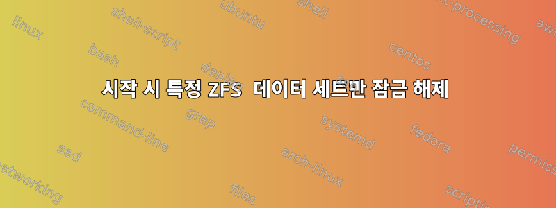 시작 시 특정 ZFS 데이터 세트만 잠금 해제