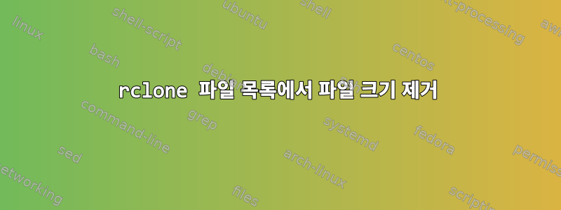 rclone 파일 목록에서 파일 크기 제거