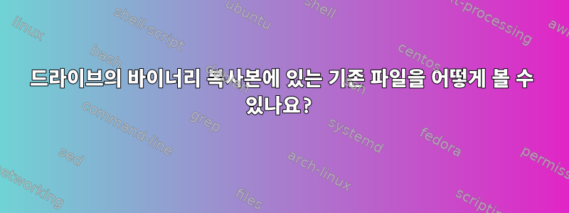 드라이브의 바이너리 복사본에 있는 기존 파일을 어떻게 볼 수 있나요?