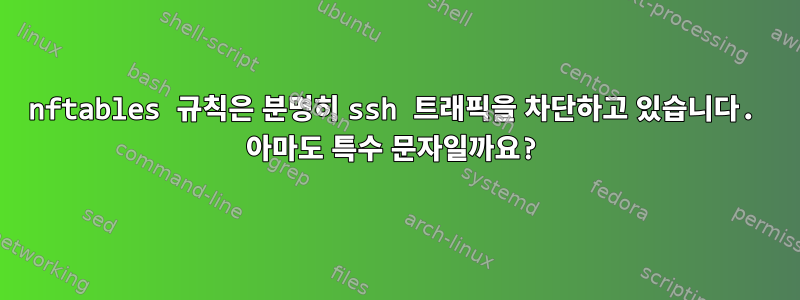 nftables 규칙은 분명히 ssh 트래픽을 차단하고 있습니다. 아마도 특수 문자일까요?