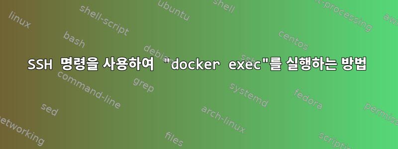 SSH 명령을 사용하여 "docker exec"를 실행하는 방법