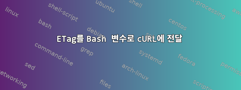 ETag를 Bash 변수로 cURL에 전달