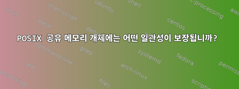 POSIX 공유 메모리 개체에는 어떤 일관성이 보장됩니까?