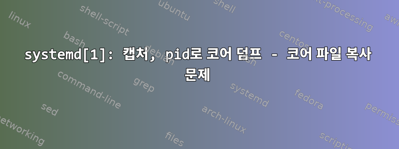 systemd[1]: 캡처, pid로 코어 덤프 - 코어 파일 복사 문제