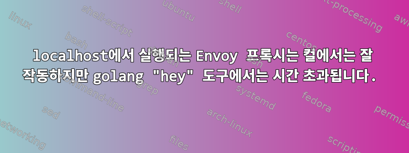 localhost에서 실행되는 Envoy 프록시는 컬에서는 잘 작동하지만 golang "hey" 도구에서는 시간 초과됩니다.