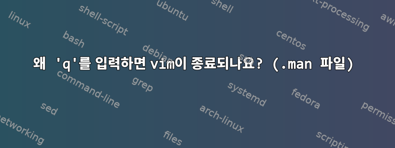 왜 'q'를 입력하면 vim이 종료되나요? (.man 파일)