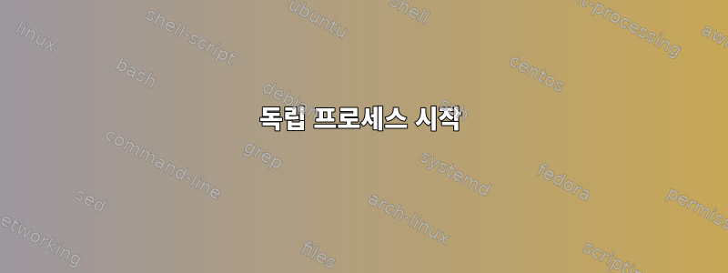 독립 프로세스 시작