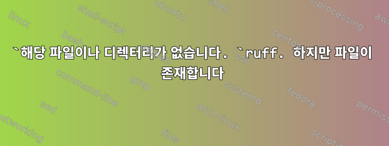 `해당 파일이나 디렉터리가 없습니다. `ruff. 하지만 파일이 존재합니다