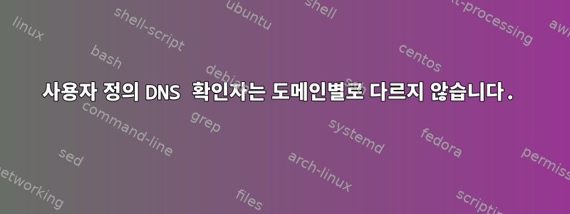 사용자 정의 DNS 확인자는 도메인별로 다르지 않습니다.