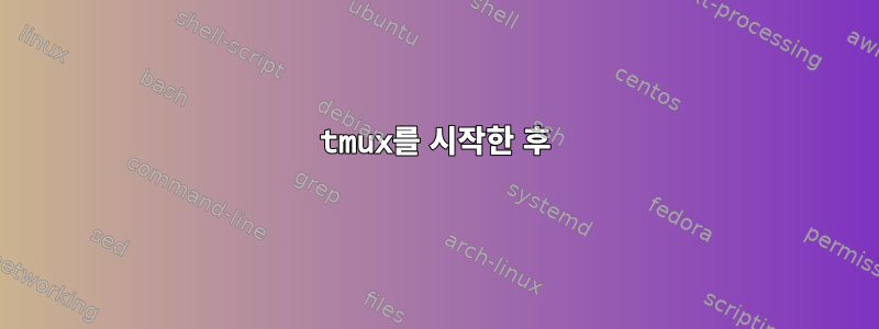 tmux를 시작한 후