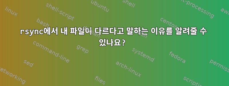 rsync에서 내 파일이 다르다고 말하는 이유를 알려줄 수 있나요?