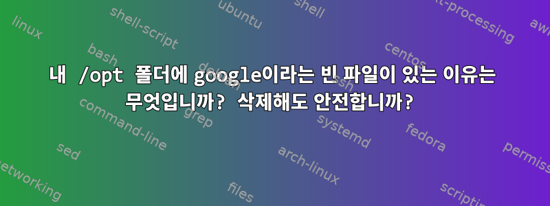 내 /opt 폴더에 google이라는 빈 파일이 있는 이유는 무엇입니까? 삭제해도 안전합니까?