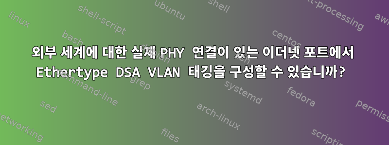 외부 세계에 대한 실제 PHY 연결이 있는 이더넷 포트에서 Ethertype DSA VLAN 태깅을 구성할 수 있습니까?