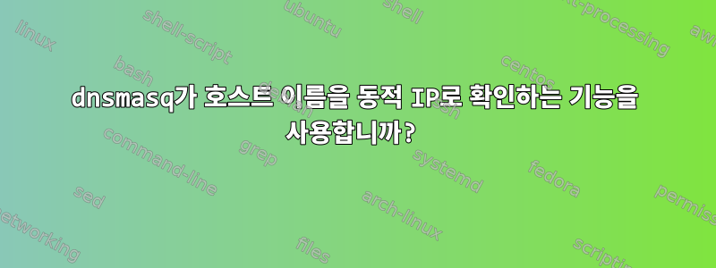 dnsmasq가 호스트 이름을 동적 IP로 확인하는 기능을 사용합니까?