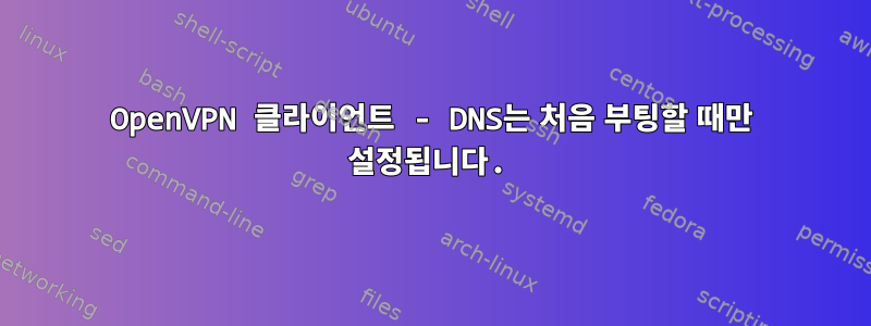 OpenVPN 클라이언트 - DNS는 처음 부팅할 때만 설정됩니다.