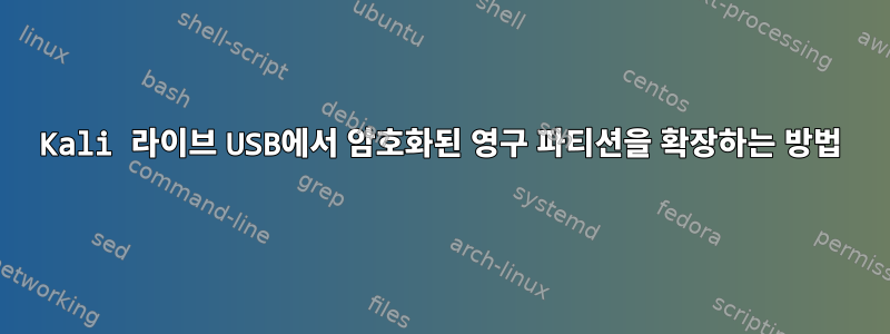 Kali 라이브 USB에서 암호화된 영구 파티션을 확장하는 방법