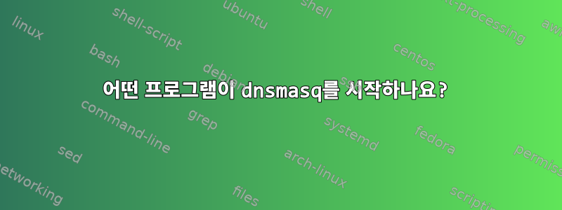 어떤 프로그램이 dnsmasq를 시작하나요?