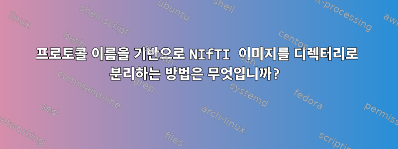 프로토콜 이름을 기반으로 NIfTI 이미지를 디렉터리로 분리하는 방법은 무엇입니까?