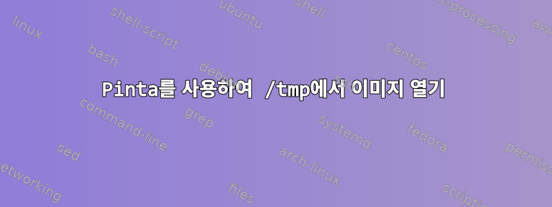 Pinta를 사용하여 /tmp에서 이미지 열기